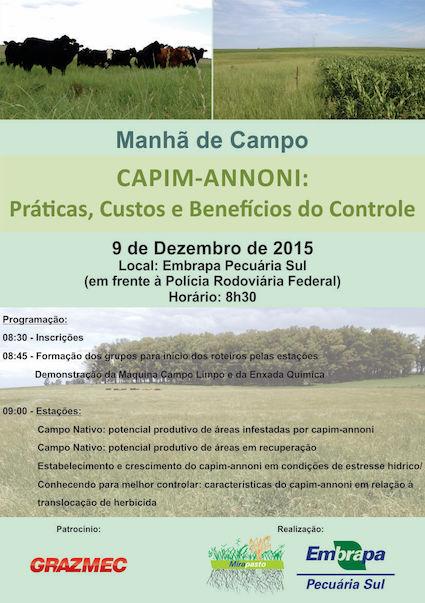 Manh De Campo Apresenta Estrat Gias Para O Controle Do Capim Annoni E