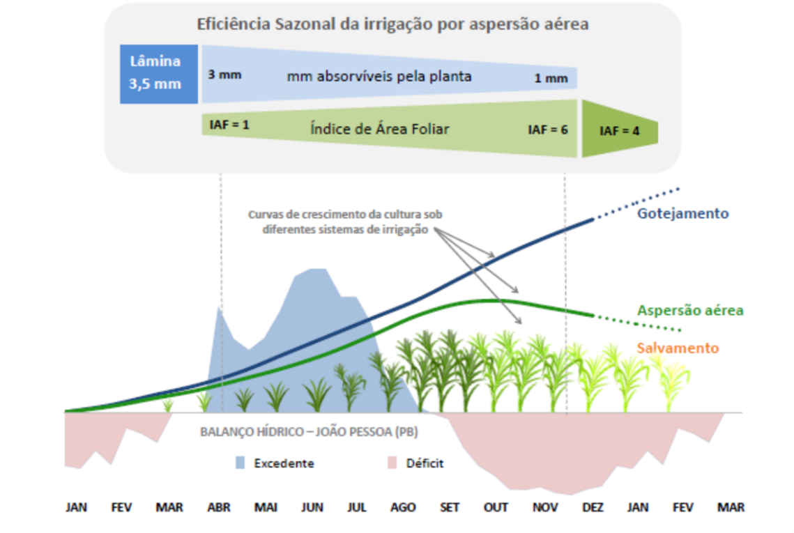 Irrigação por gotejamento permite uniformizar a disponibilidade de cana