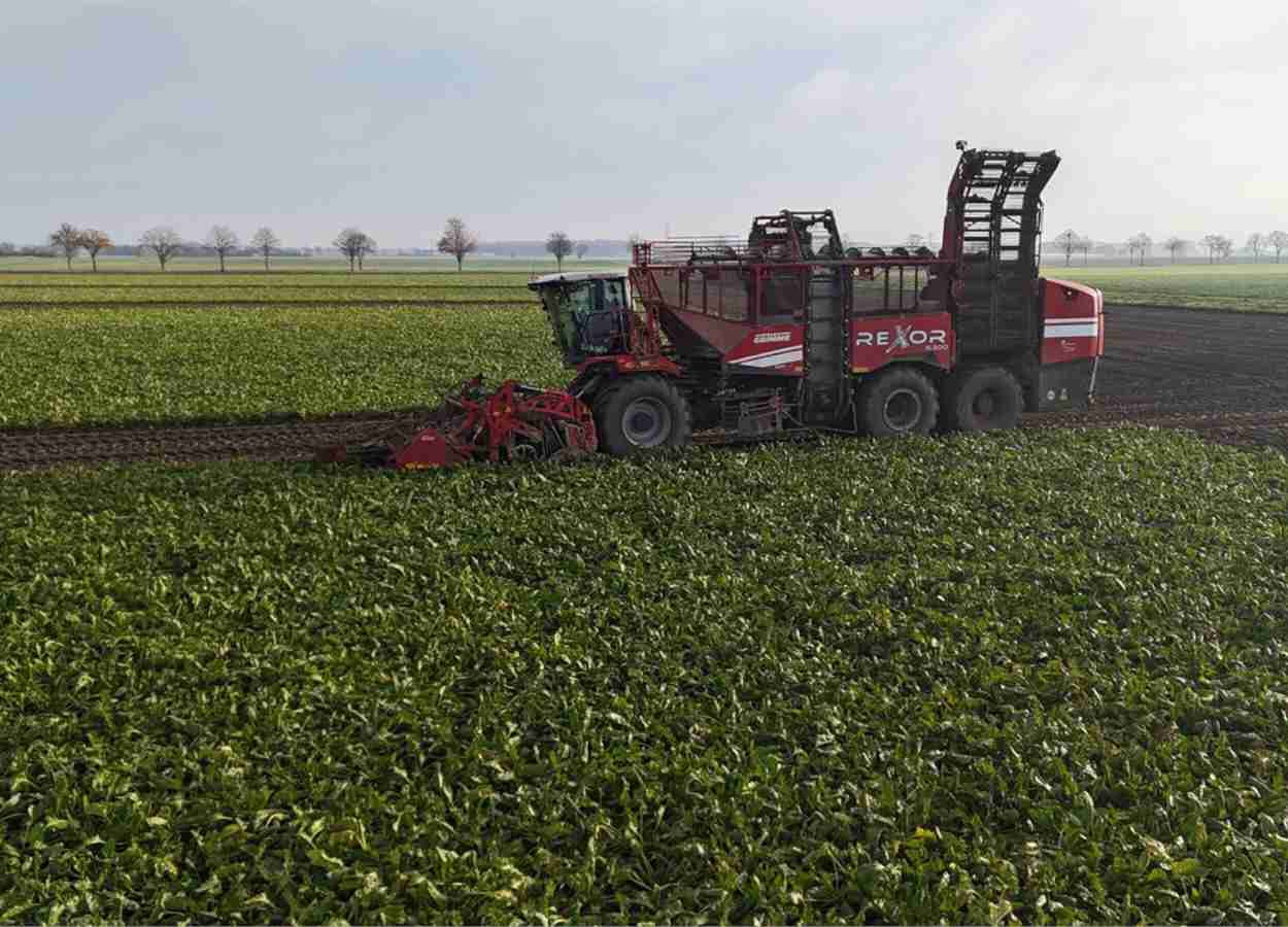 SugarBeet Expo 2026 detalha programação técnica