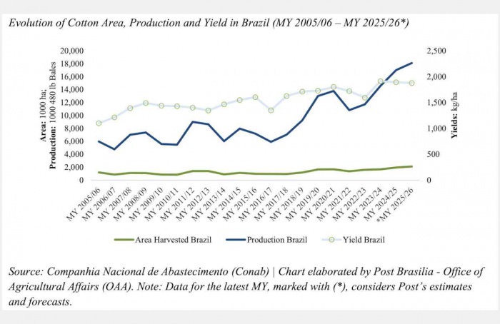 Produção de algodão cresce no Brasil, aponta USDA