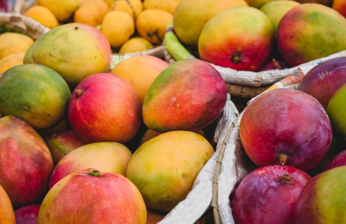 Exportações de frutas brasileiras avançam em 2024