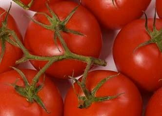 Encontro técnico em Goiás tem como principal pauta as doenças do tomateiro no Cerrado