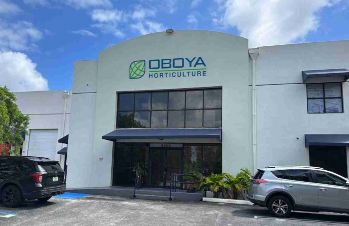 Oboya abre operação direta nos Estados Unidos