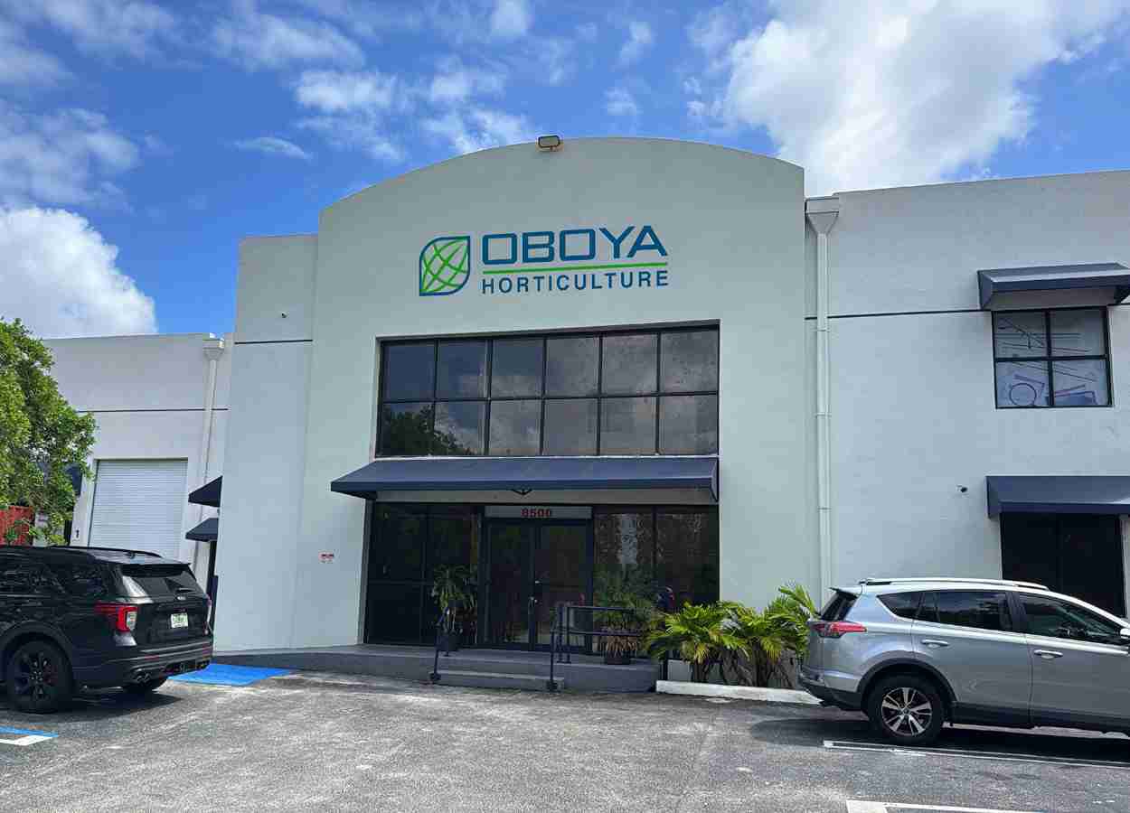 Oboya abre operação direta nos Estados Unidos