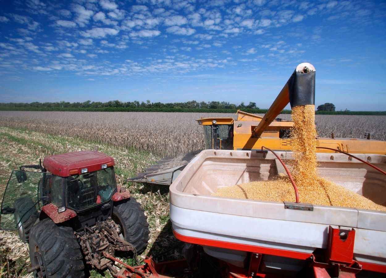 BNDES libera R$ 15,3 mil millones adicionales para el Plan Zafra 2025/26.