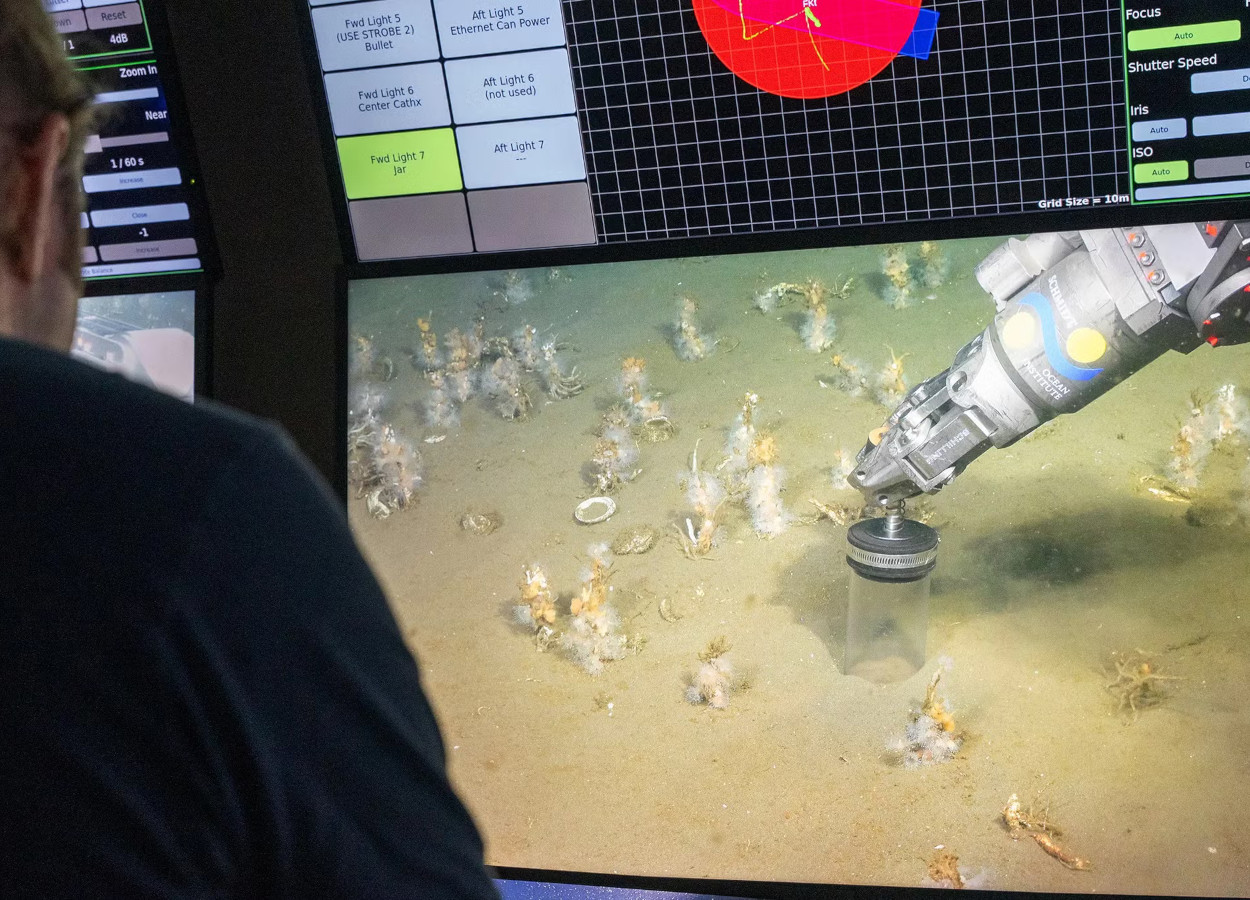 Foto:&nbsp;Monika Naranjo-Shepard, Schmidt Ocean Institute