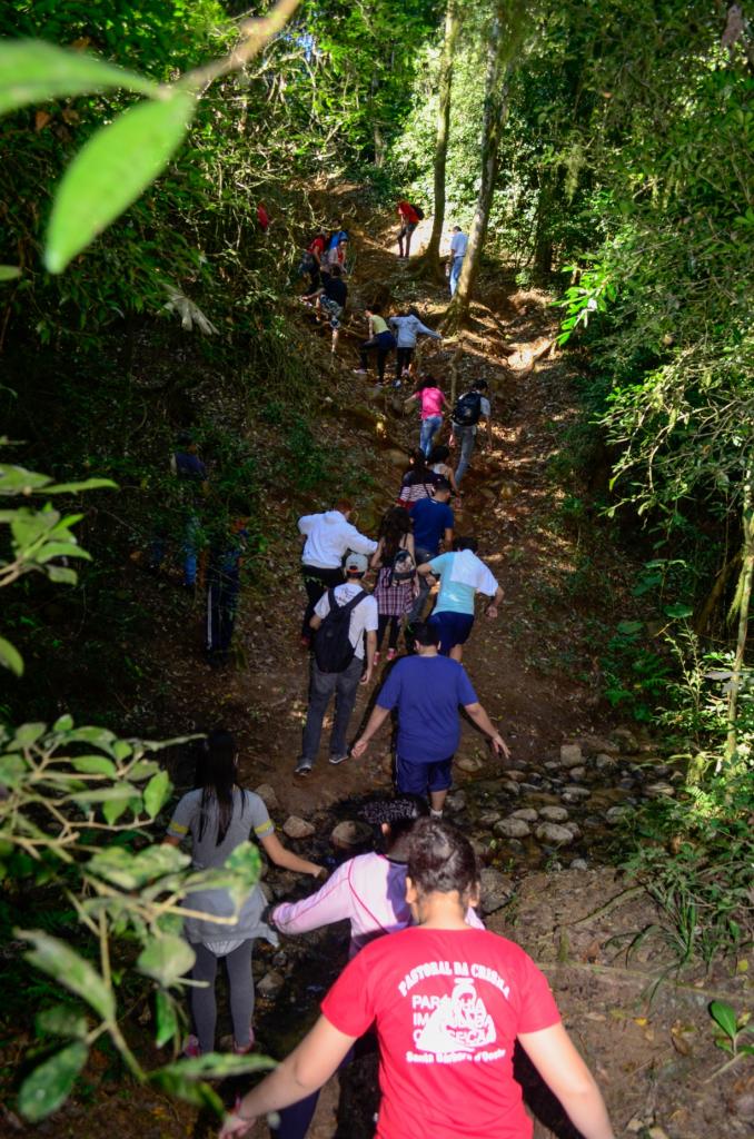 ​FMC apoia projeto socioambiental da Usina Açucareira Furlan S/A