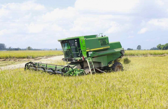 Colheita avança em SC sob pressão da crise do arroz