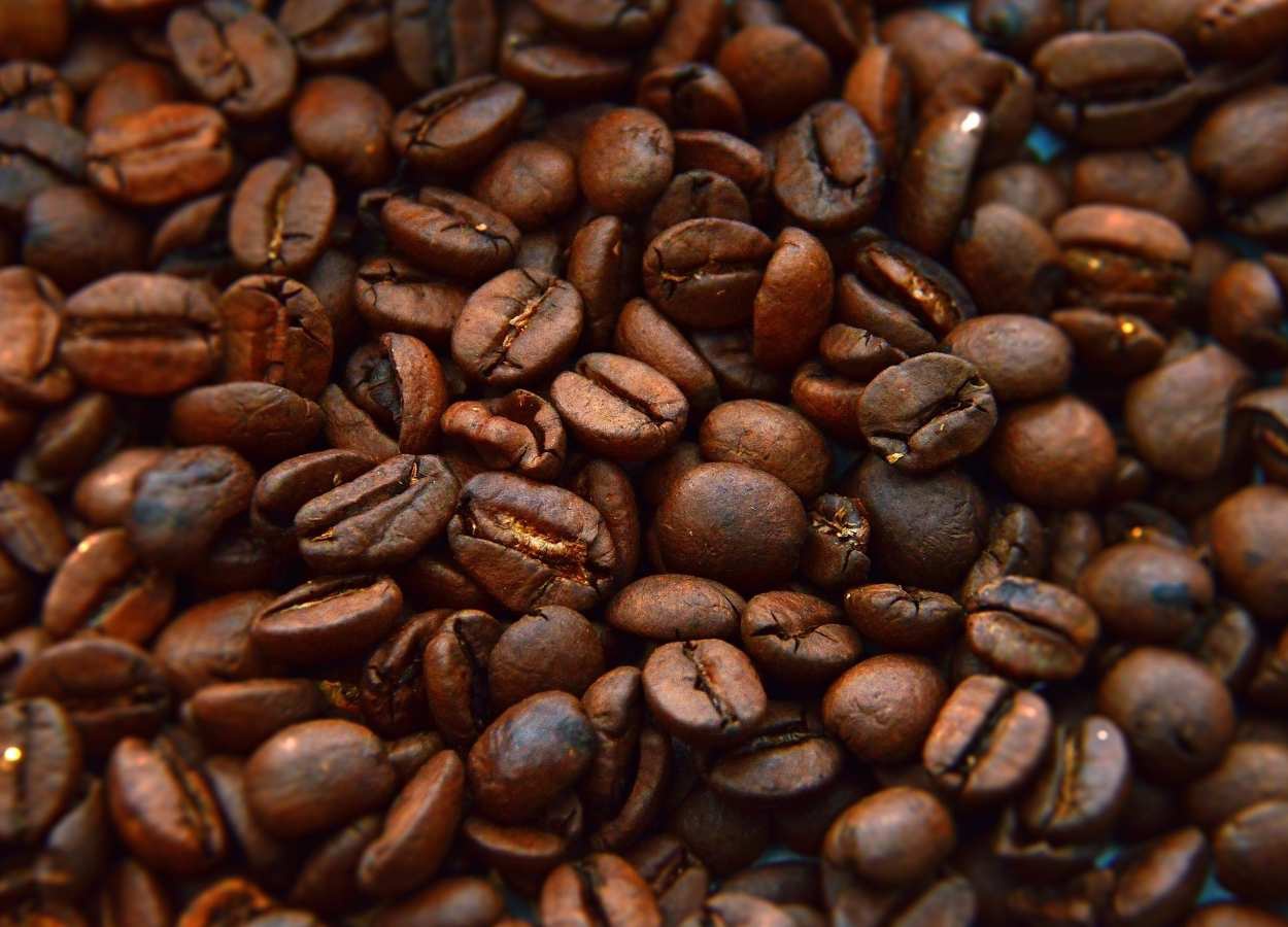 Apesar da desaceleração registrada no mês passado, Brasil exportou 45,6 milhões de sacas no acumulado do ciclo