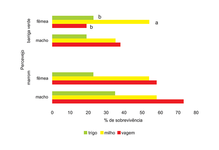 Figura 1 - Porcentagem de sobrevivência de machos e fêmeas dos percevejos marrom e barriga-verde mantidos em plântulas de milho e trigo e vagem de feijão. Porcentagens seguidas de mesma letra por categoria não diferem entre si
