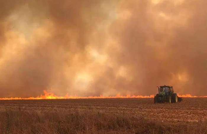 Defesa Civil emite alerta para risco de incêndios em áreas rurais no interior paulista