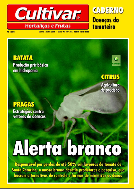 Alerta branco