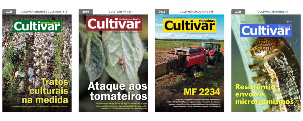 Capas - 2025