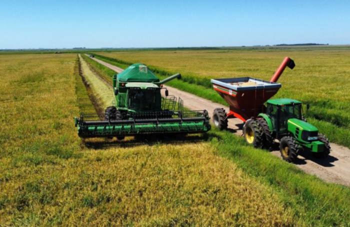 Colheita da soja atinge 88% da área plantada no RS