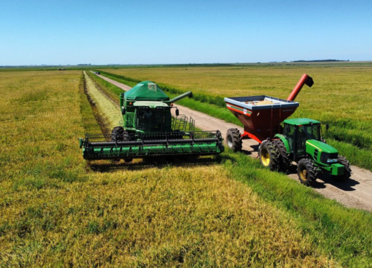Colheita da soja atinge 88% da área plantada no RS