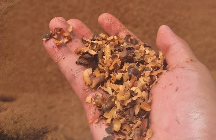 Embrapa avalia uso de resíduos agrícolas para produção de biochar