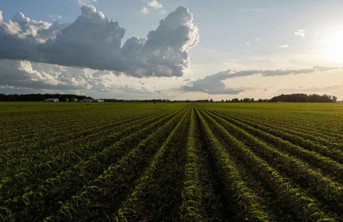Webinário discute El Niño e impactos para a produção agrícola