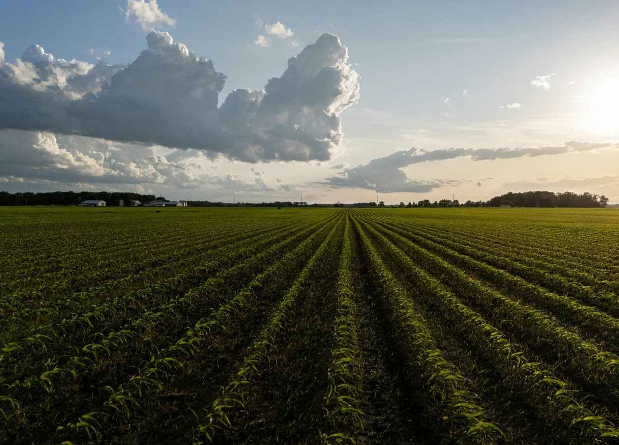 Webinário discute El Niño e impactos para a produção agrícola