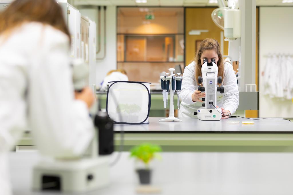 Com maior demanda por produtos biológicos, Koppert deve crescer 40% em 2020