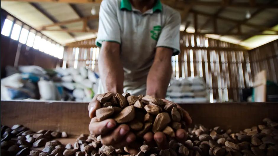 Foto:&nbsp;Marcelo Camargo