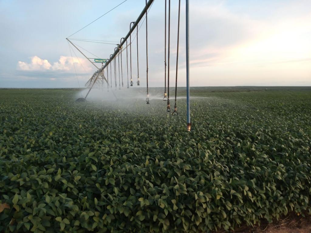 Consultoria de irrigação reduz custos e turbina produtividade em fazenda na BA