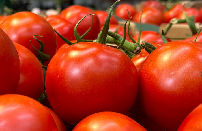 Queda nos preços de hortaliças e frutas marca mês de julho nos mercados atacadistas do Brasil