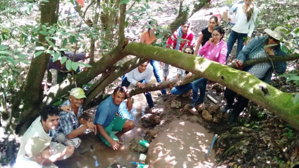 Produtores rurais avançam no projeto de recuperação de nascentes no oeste baiano