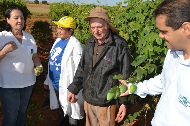 Cultivares de maracujá BRS ganham espaço no mercado