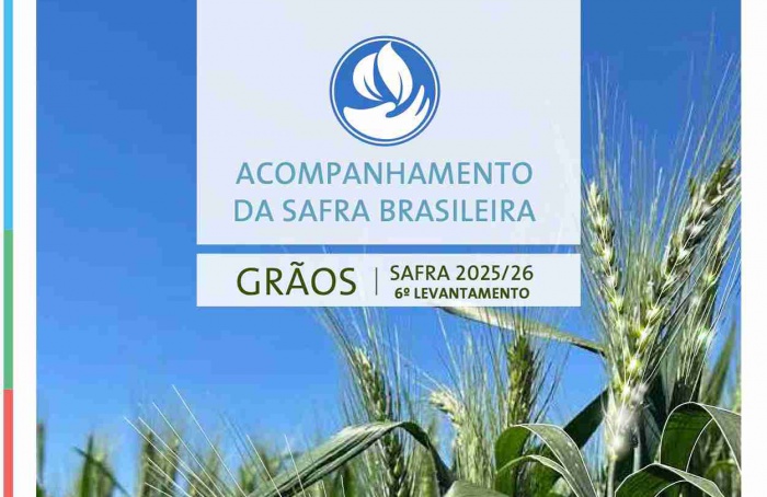 Safra 2025/26: Brasil deve chegar a 353,4 milhões de toneladas