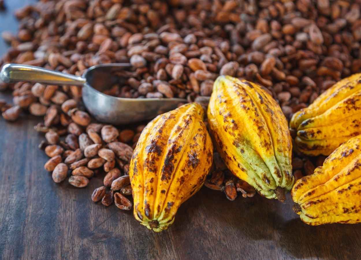 Clima segue como fator-chave, mas safras mais favoráveis fora da África impulsionam superávit de 287 mil toneladas em 2025/26