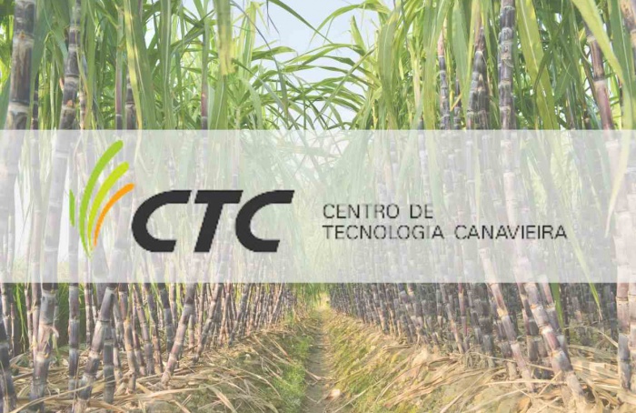 CTC registra lucro recorde de R$ 152,3 milhões na safra 2023-24