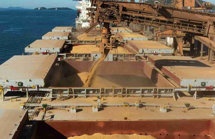 Controle fitossanitário reduz notificações em grãos exportados