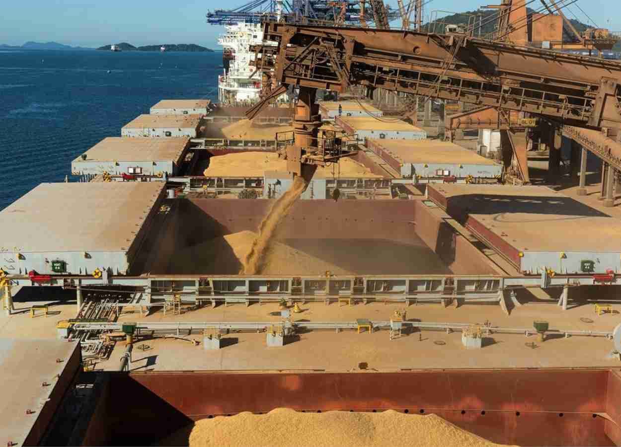 Controle fitossanitário reduz notificações em grãos exportados