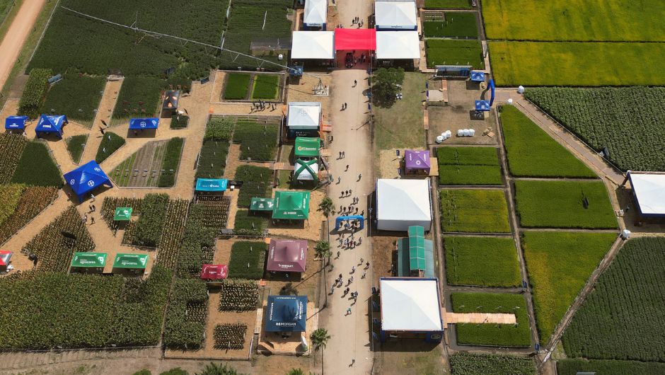 Foto: Carlos Queiroz