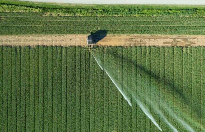 Agrishow reforça papel do Brasil na segurança alimentar global