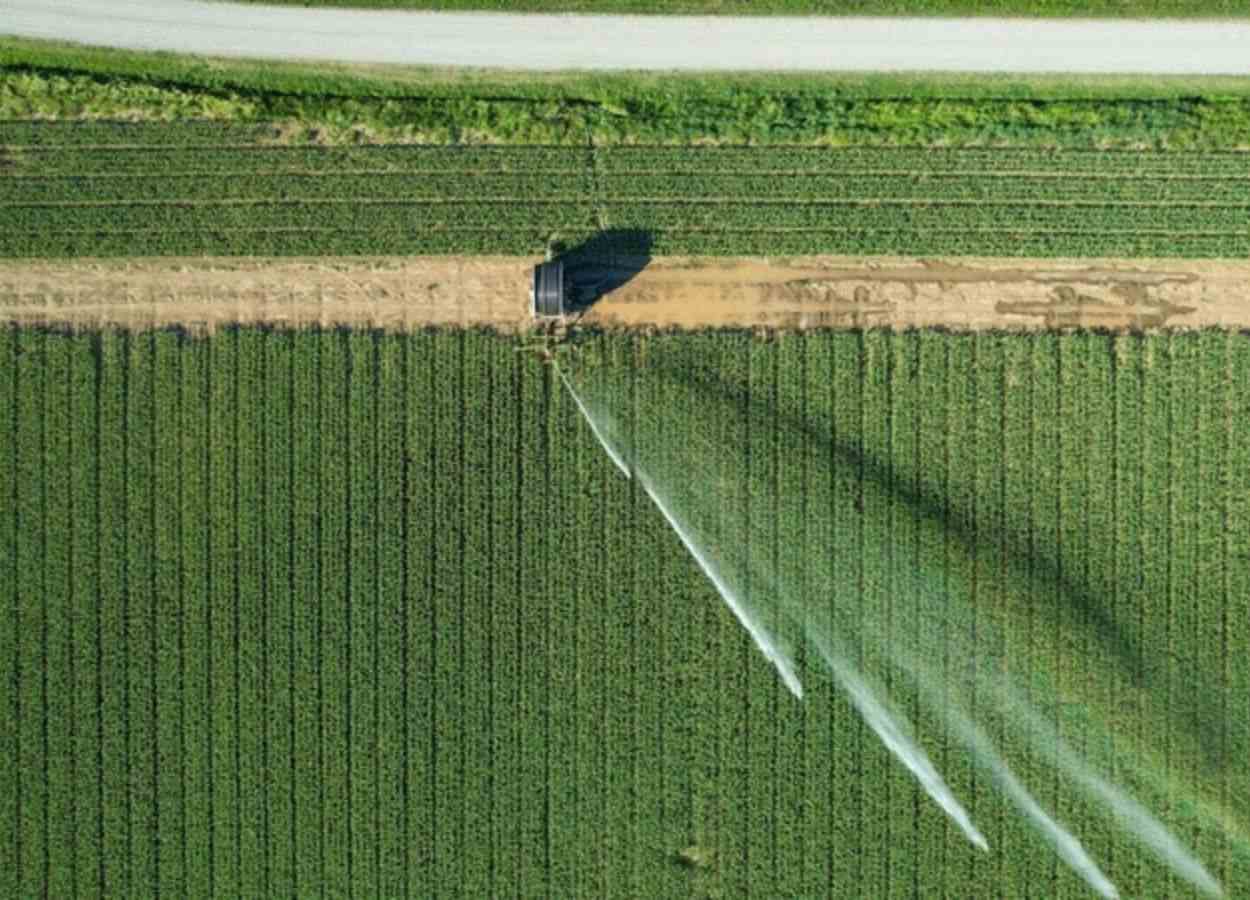 Agrishow reforça papel do Brasil na segurança alimentar global