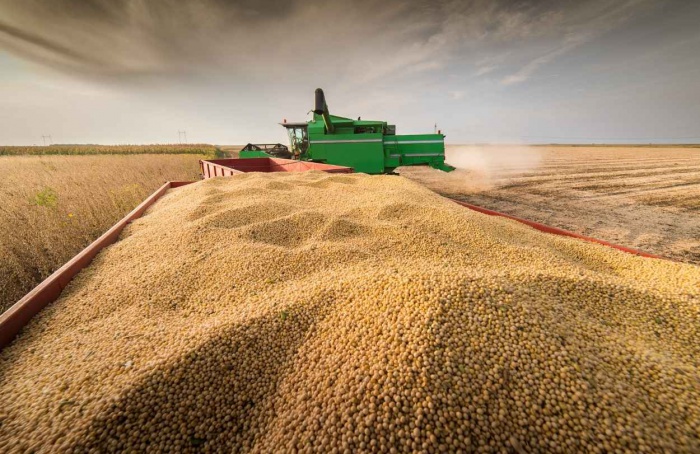 Safra dos EUA e El Niño ampliam incertezas para a soja