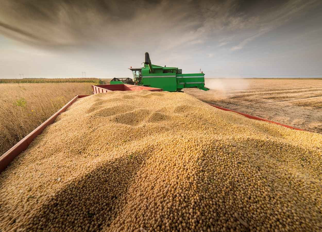 Safra dos EUA e El Niño ampliam incertezas para a soja