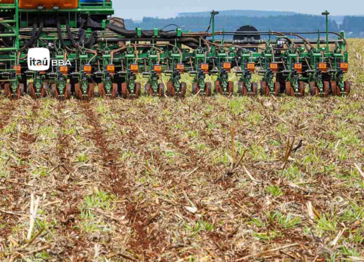 Plantio da soja avança e reduz risco para segunda safra
