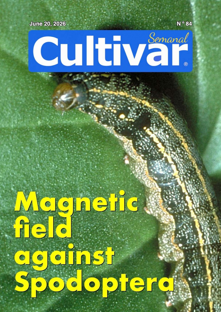 Cultivar Semanal 84