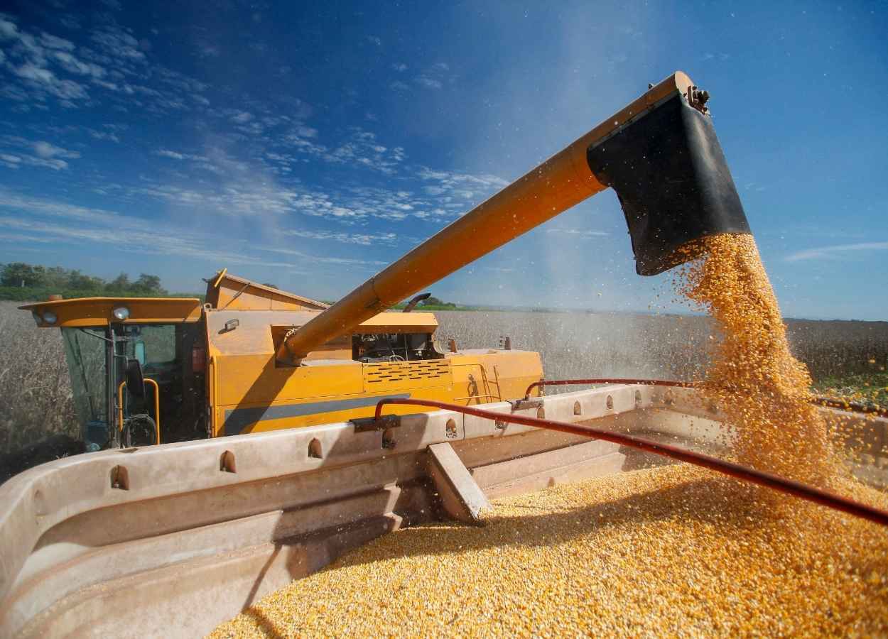 Safra de grãos 2024/25 deve alcançar 339 milhões de toneladas