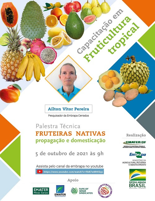 Capacitação em Fruticultura Tropical