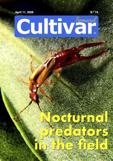 Культивируйте еженедельно 74