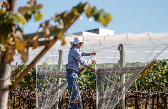 Jundiaí sedia Dia de Campo sobre fruticultura sustentável