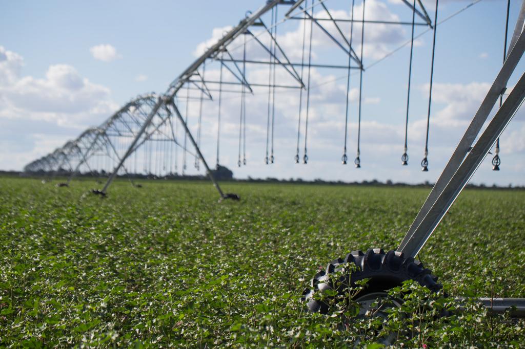 Brasil receberá tecnologia para agricultura irrigada sustentável