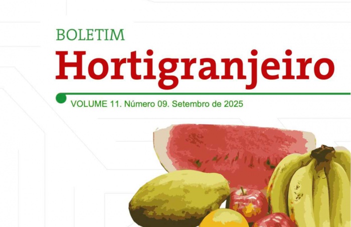 Preços do tomate caem em setembro, aponta Conab