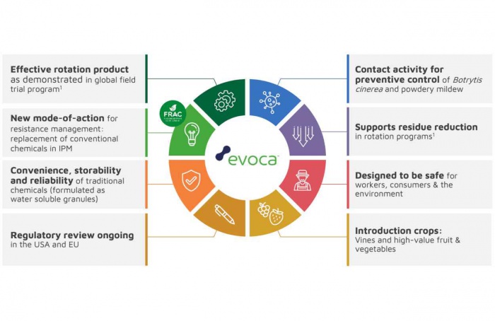 Processo de registro do biofungicida Evoca avança nos Estados Unidos
