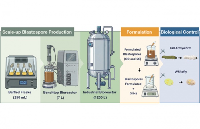 Bioinseticidas avançam rumo à produção industrial
