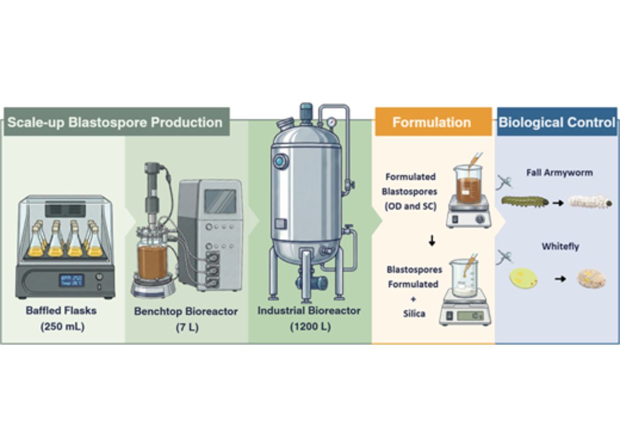 Bioinseticidas avançam rumo à produção industrial