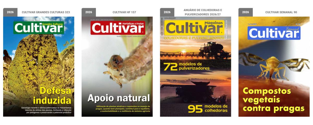 Capas - 2025
